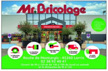 Mr bricolage 1